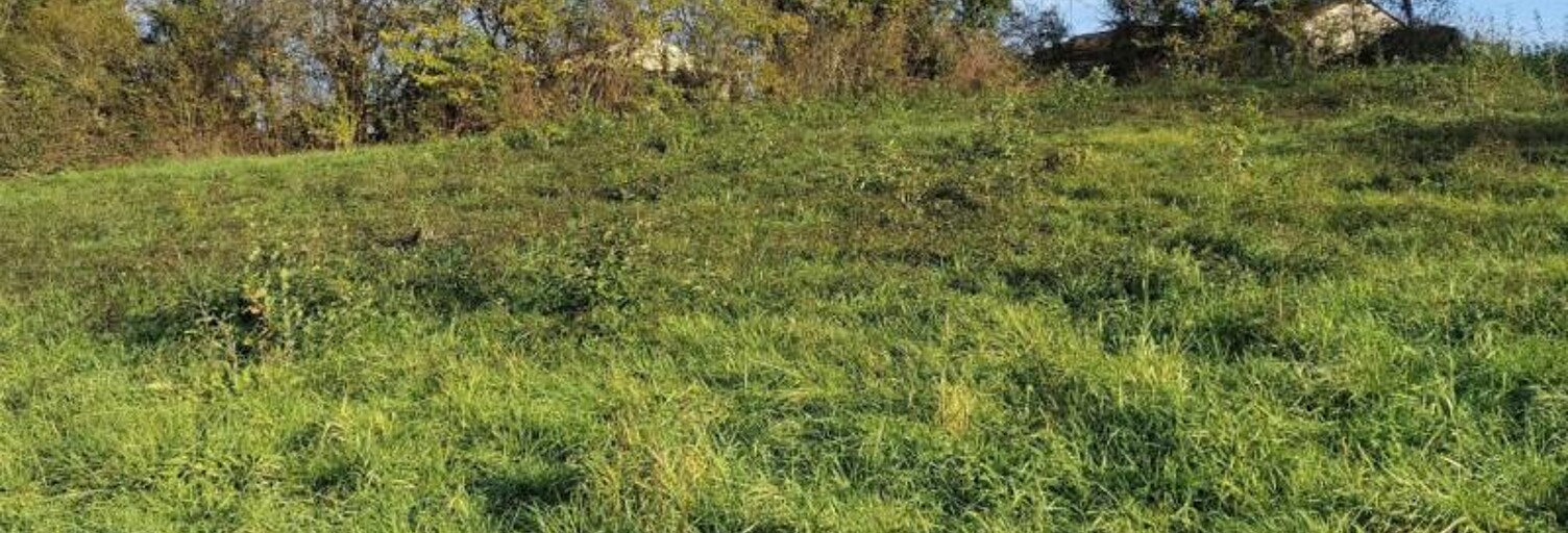 Terrain  2006 m² à vendre à Razac-sur-l'Isle (24430)