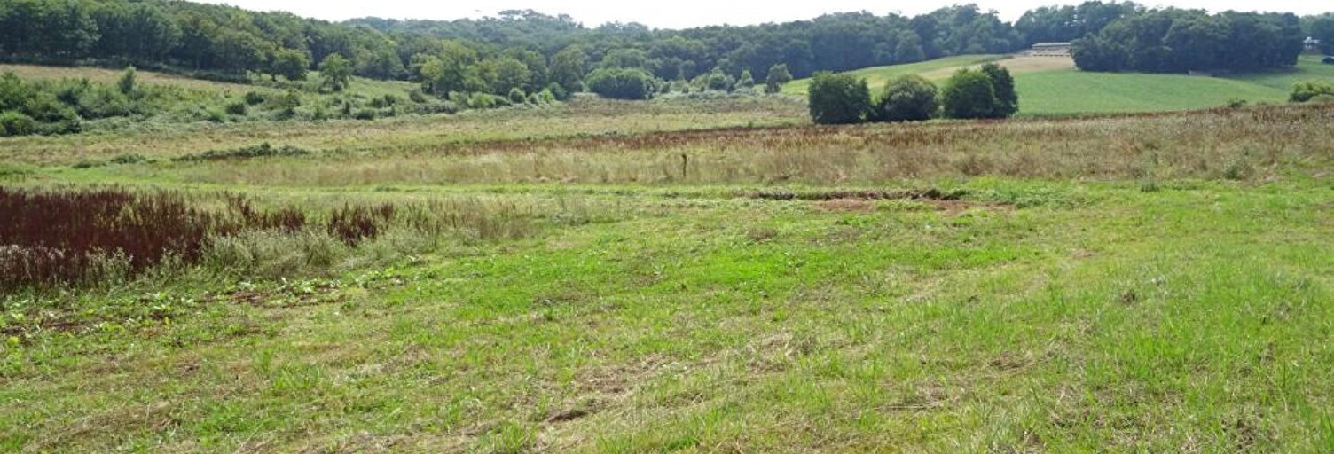 Maison 6 Pièces 165 m² à vendre à Sainte-Colombe (40700)