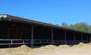 Maison 1 Pièce 1800 m² à vendre à Ladignac-le-Long (87500)