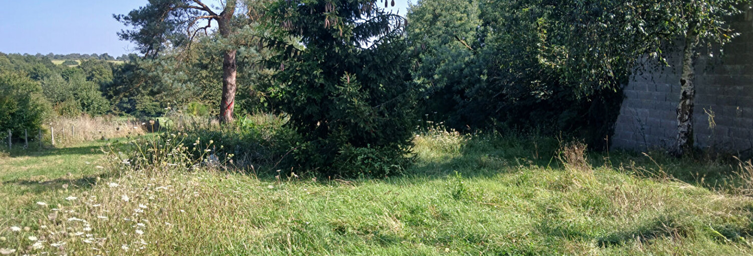 Terrain  1003 m² à vendre à Guenrouet (44530)