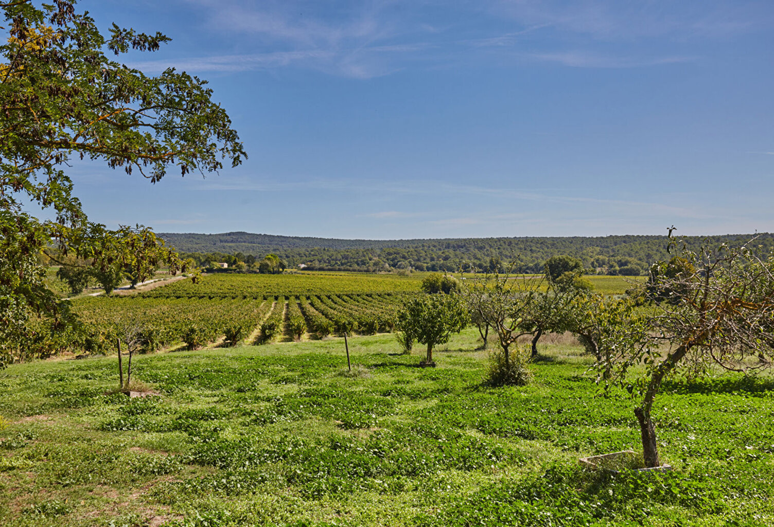 ROGNES - Propriété de 570 m²  sur 1 hectare en campagne — photo 1
