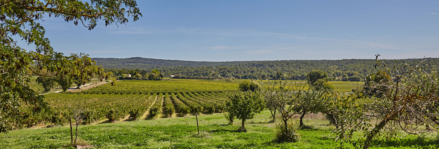 Maison 17 Pièces 570 m² à vendre à Rognes (13840)