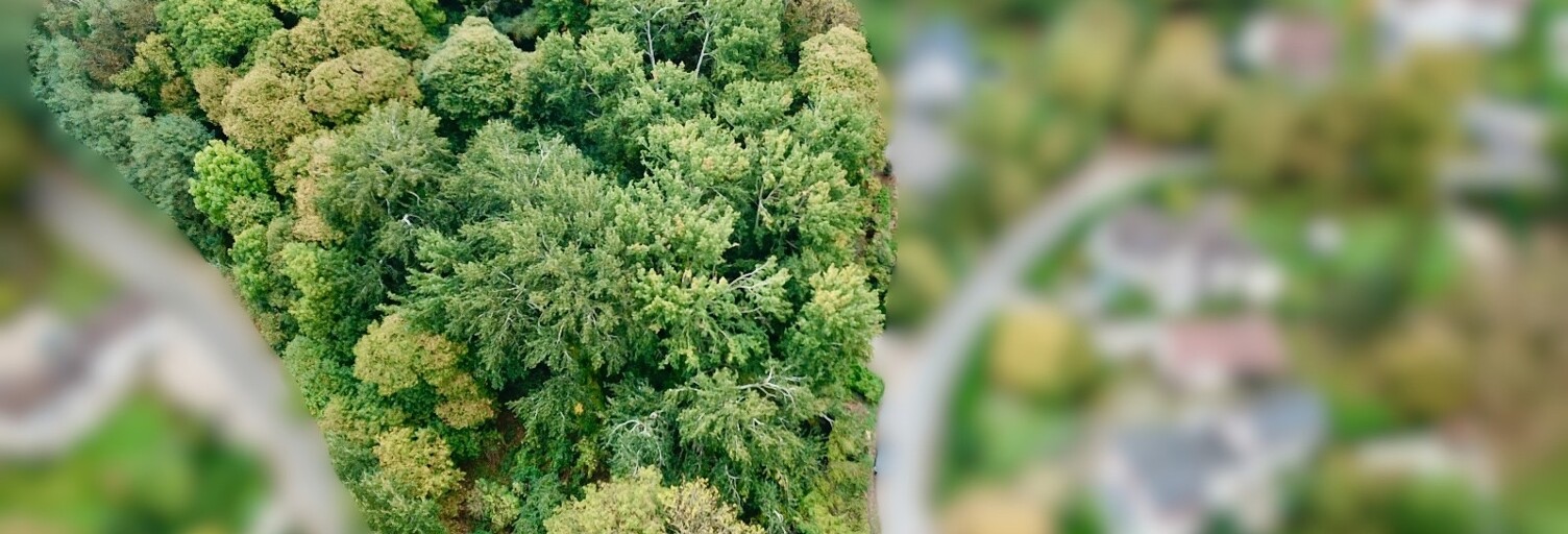 Terrain  9432 m² à vendre à Neuville-Bosc (60119)