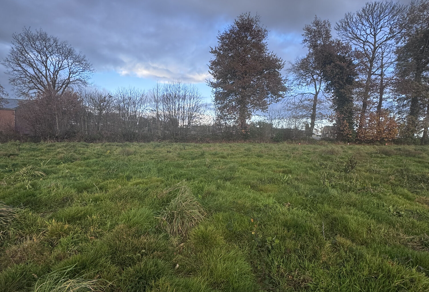 Terrain — photo 1