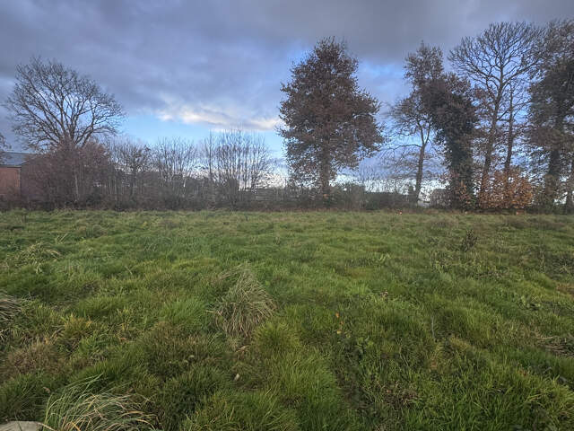 Terrain — photo du bien