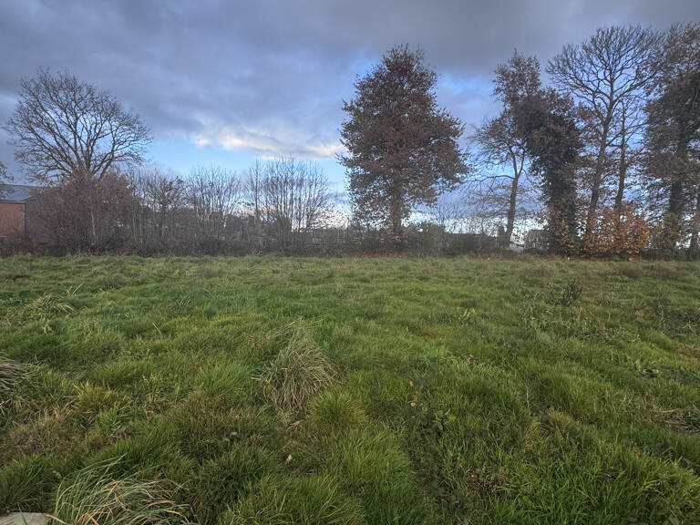 Terrain — photo 1