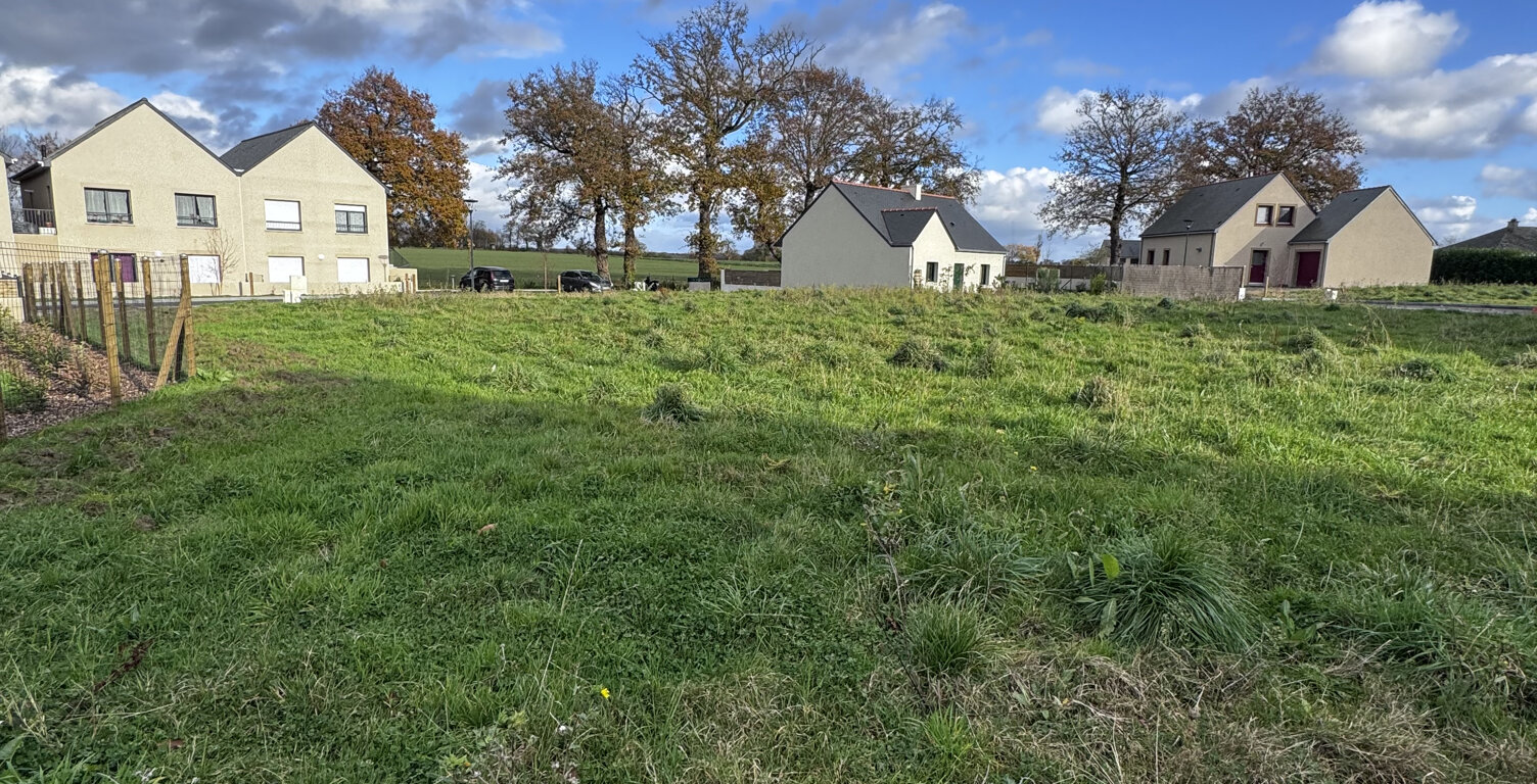 Terrain — photo 1
