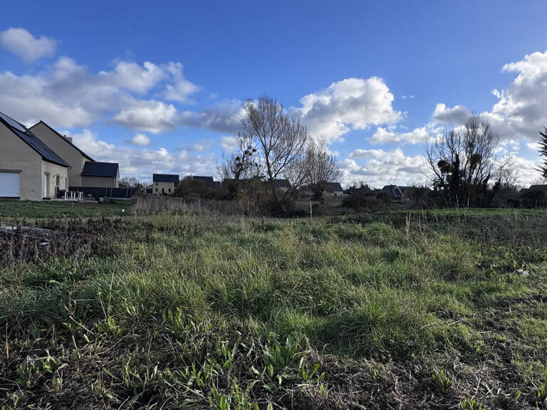 Terrain — photo 1