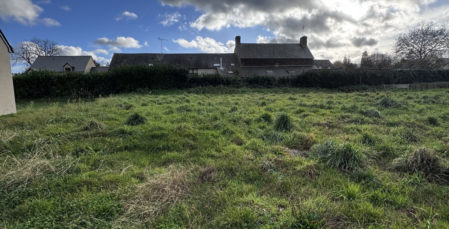 Terrain — photo 1
