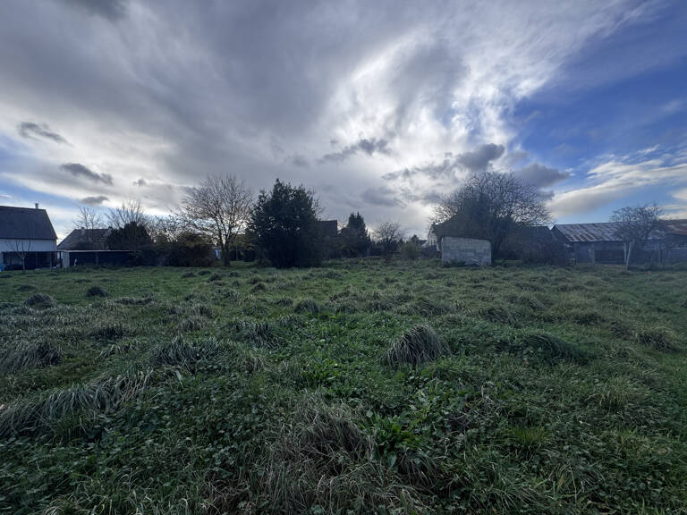 Terrain — photo 1