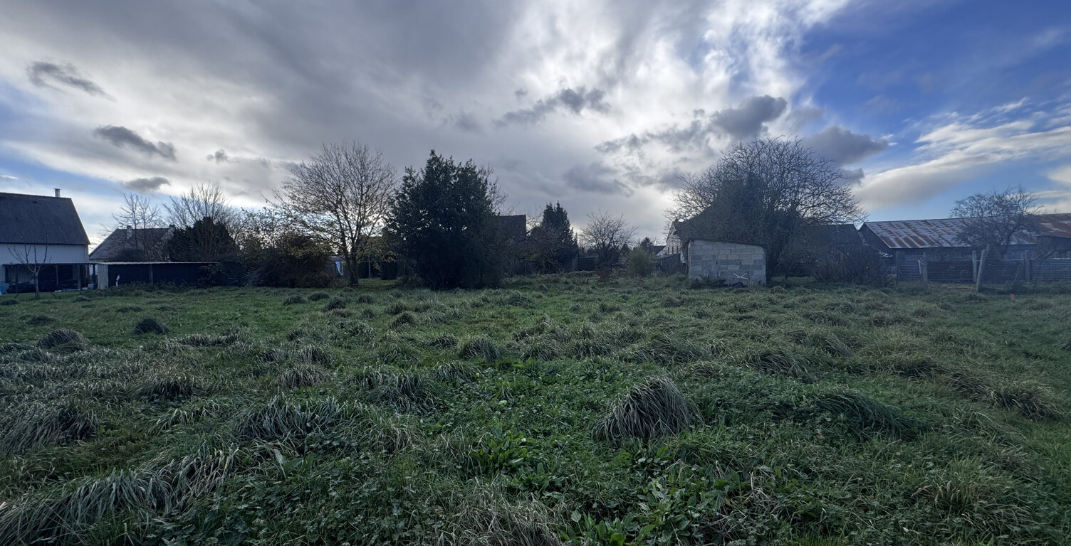 Terrain — photo 1