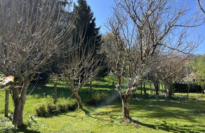 Traditionnelle de 5 pièces principales — photo 3