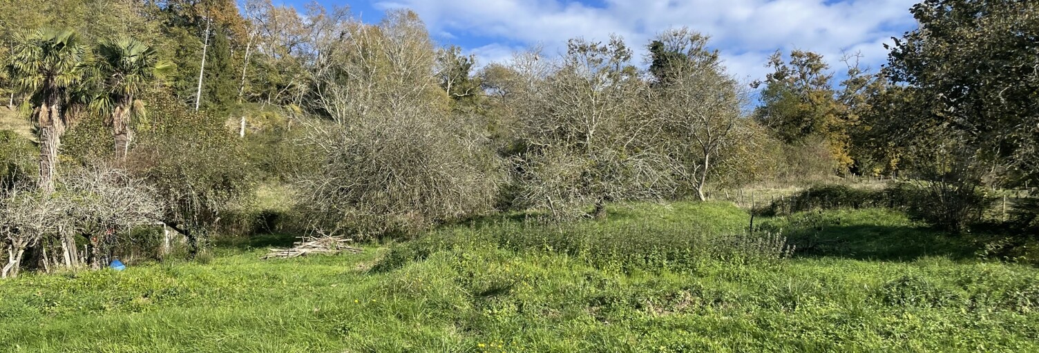 Terrain  9264 m² à vendre à Monein (64360)