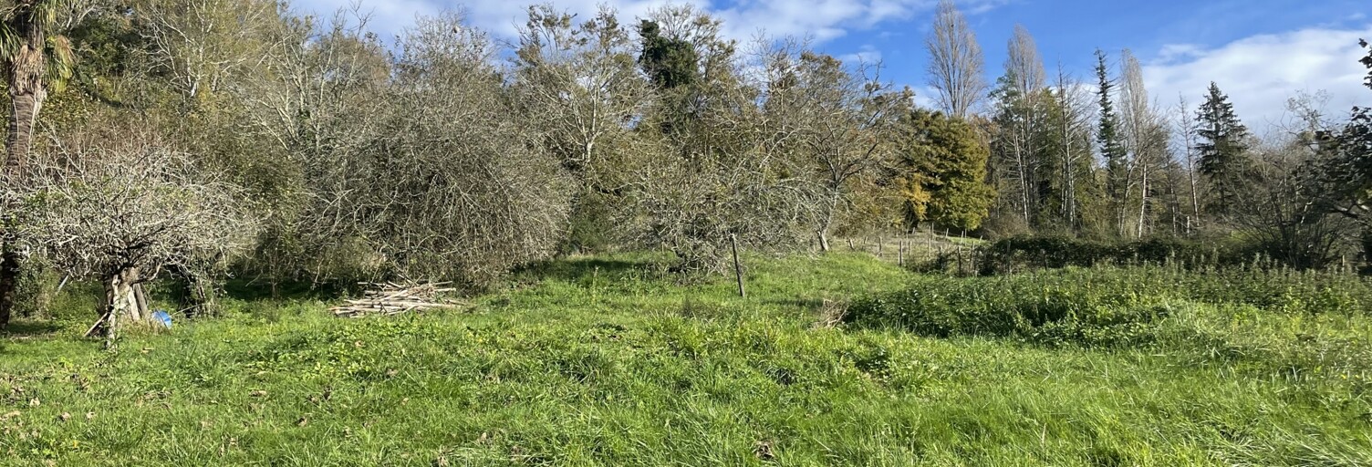 Terrain  9260 m² à vendre à Monein (64360)