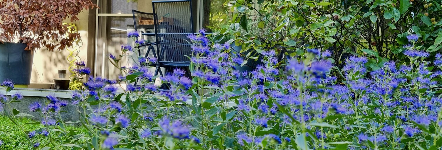 Appartement 3 Pièces 64 m² à vendre à Fresnes (94260)