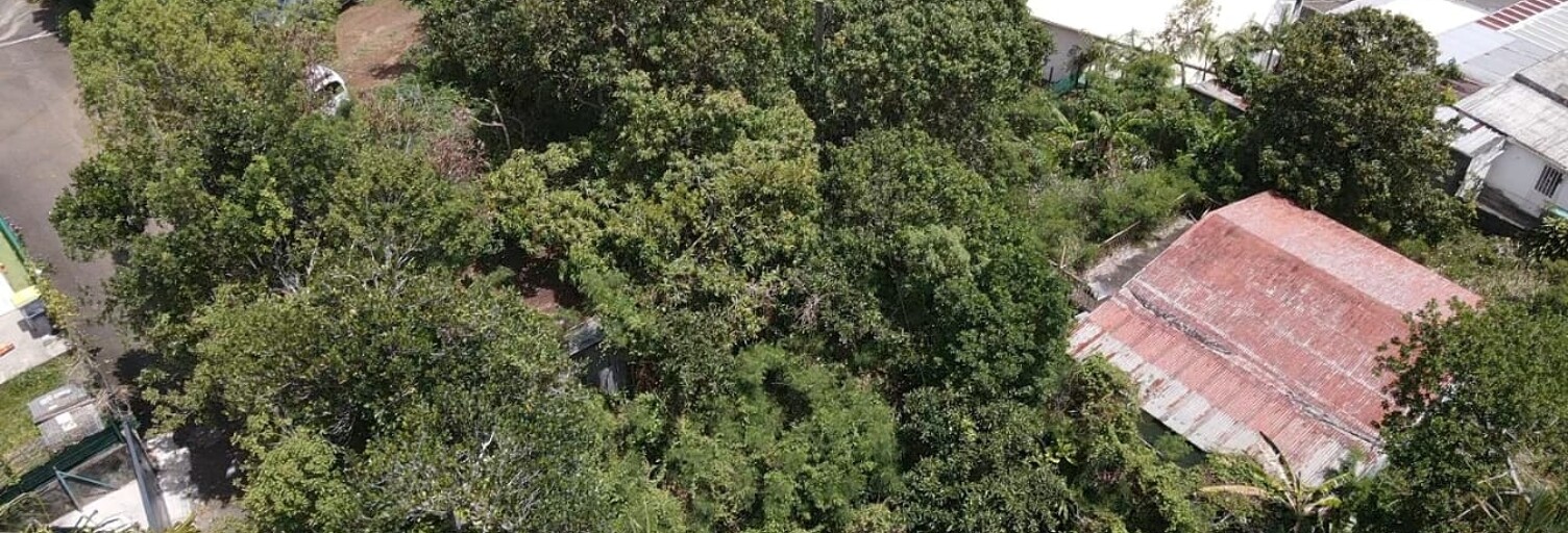 Terrain  1603 m² à vendre à Saint-Denis (97490)