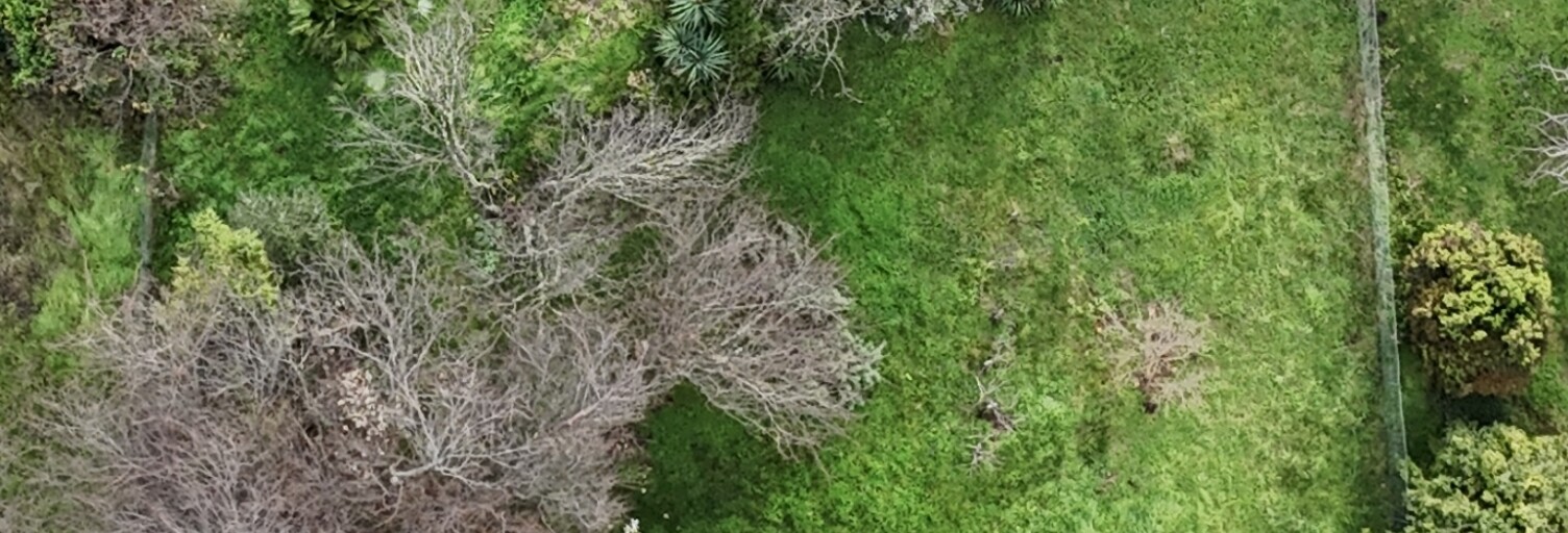 Terrain  815 m² à vendre à Uzès (30700)