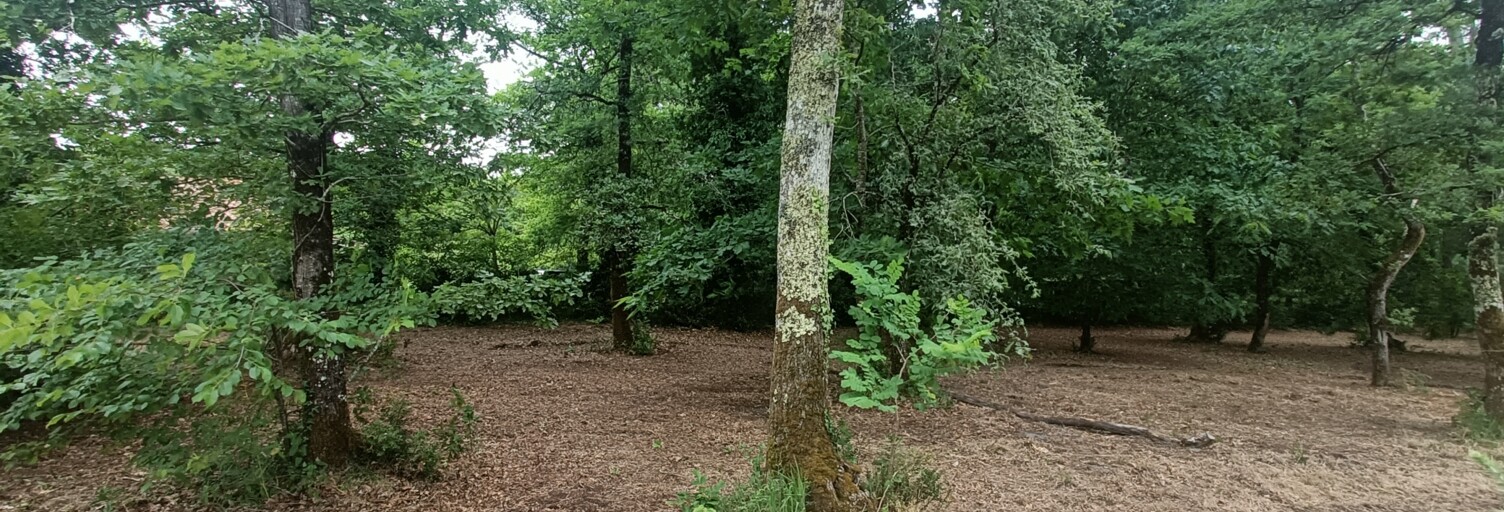 Terrain  1567 m² à vendre à Le Pian-Médoc (33290)