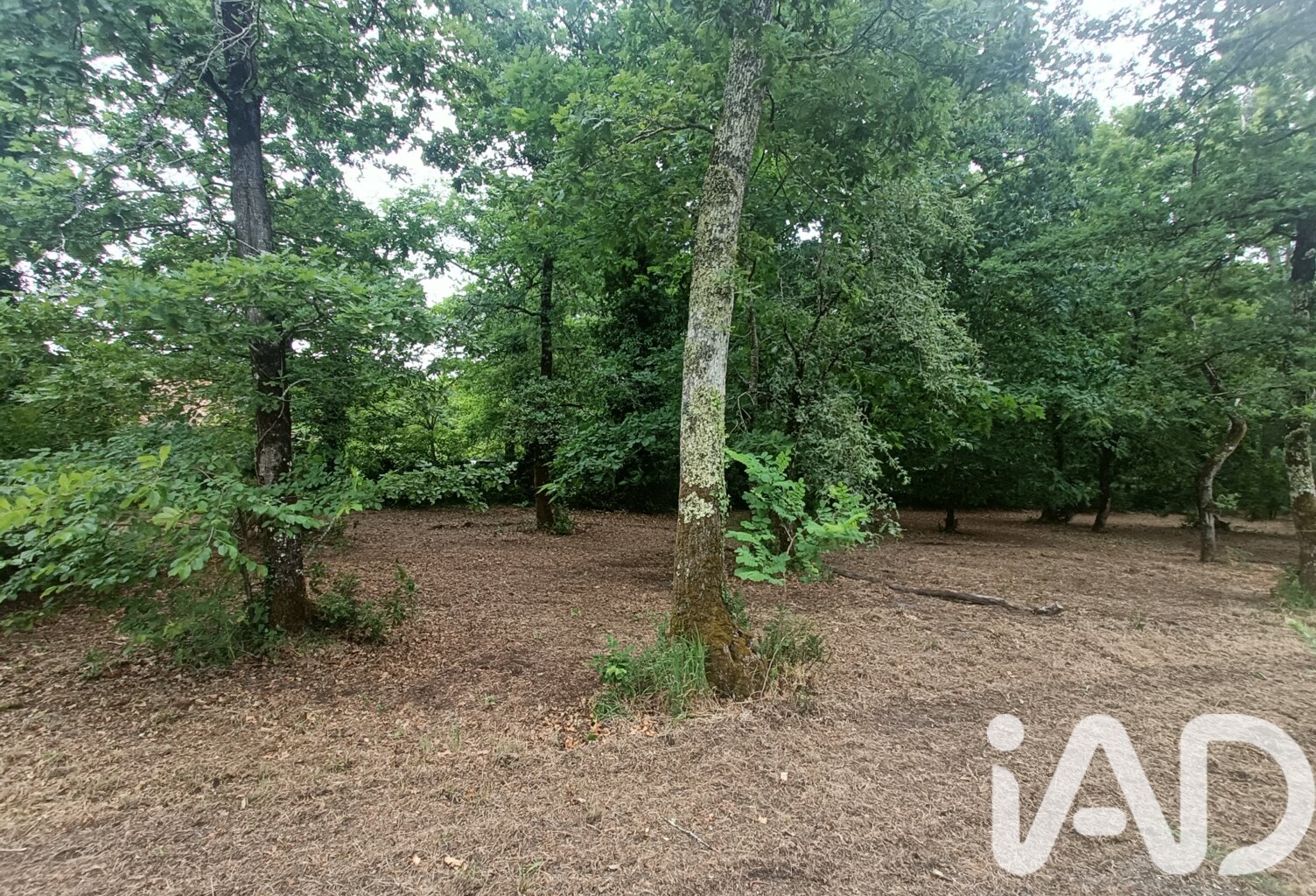 Vente Terrain 1 567 m&sup2; — photo 1