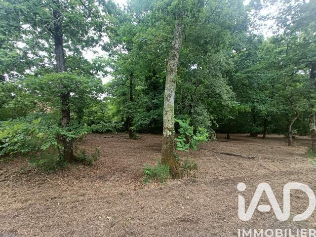 Vente Terrain 1 567 m&sup2; — photo du bien