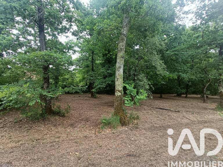 Vente Terrain 1 567 m&sup2; — photo 1