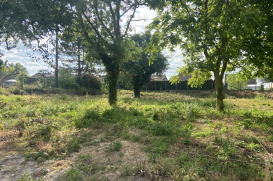 Terrain  86000 €