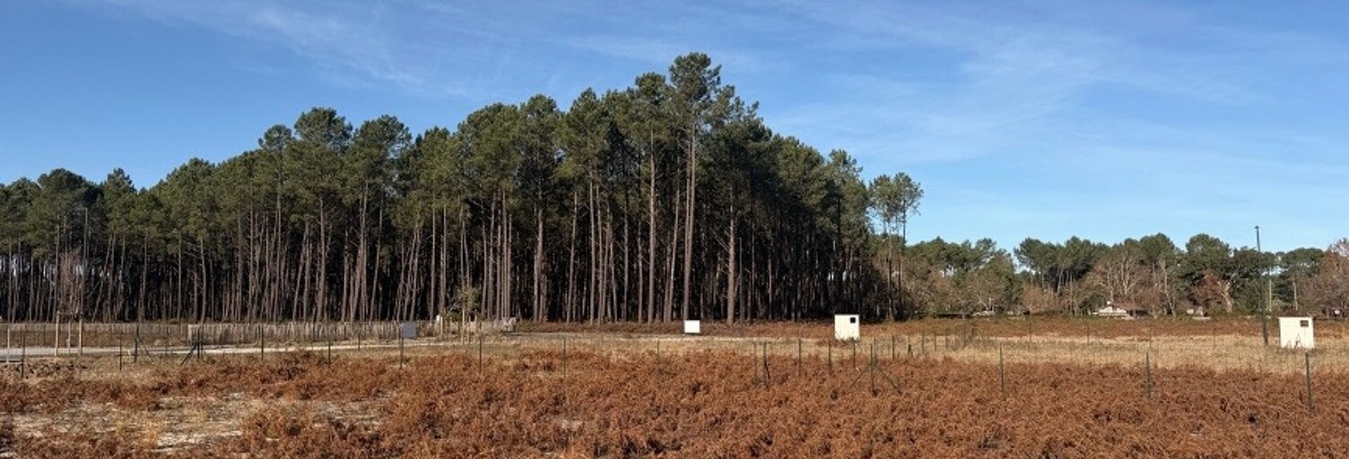 Terrain  580 m² à vendre à Vielle-Saint-Girons (40560)