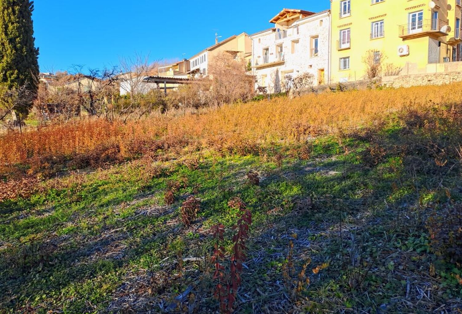 Terrain À Vendre — photo 1