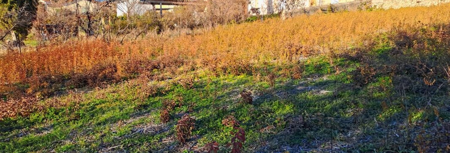Terrain  597 m² à vendre à Le Poët (05300)