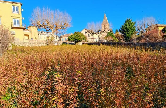 Terrain À Vendre — photo 2