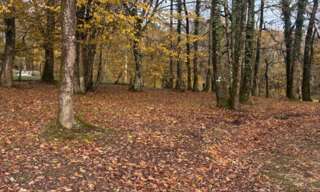 Terrain  800 m² à vendre à Camarsac (33750)