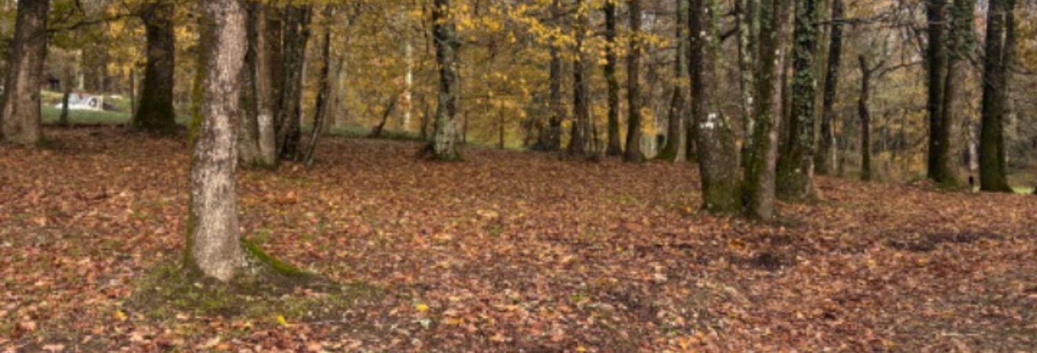 Terrain  800 m² à vendre à Camarsac (33750)