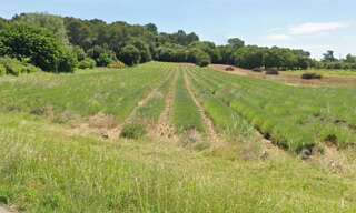 Terrain 520 m² à construire Bollène (84500)