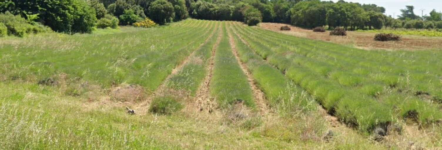 Terrain 520 m² à construire Bollène (84500)