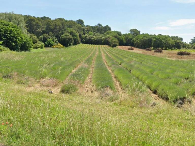 À vendre : Terrain à Bâtir – Bollène (84500) — photo 1