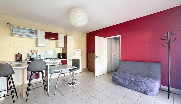 Appartement 2 pièces  à louer Ajaccio 20090