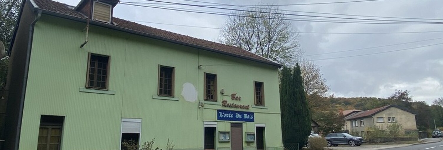 Immeuble  290 m² à vendre à Haucourt-Moulaine (54860)