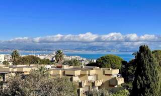 Appartement 1 Pièce 25 m² à vendre à Antibes (06600)