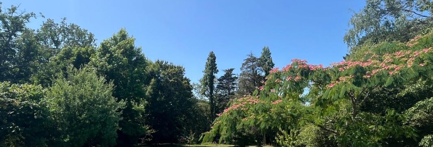 Maison 6 Pièces 227 m² à vendre à Ambon (56190)