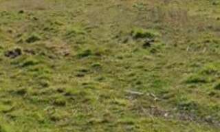 Terrain 590 m² à construire Parentis-en-Born (40160)