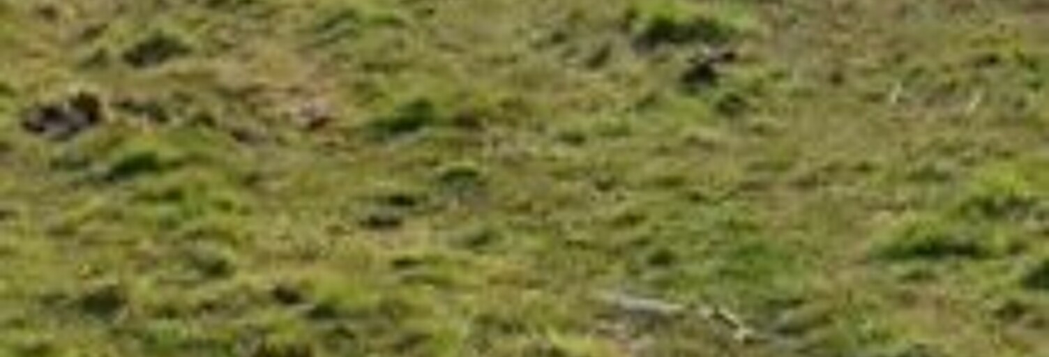 Terrain 590 m² à construire Parentis-en-Born (40160)