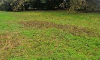 Terrain 1000 m² à construire Parentis-en-Born (40160)