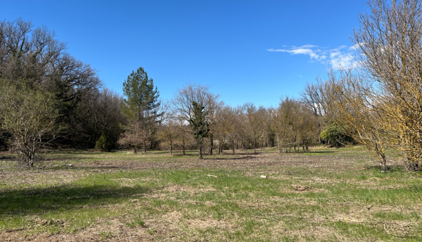 Terrain  à vendre Saint-Maximin-la-Sainte-Baume 83470