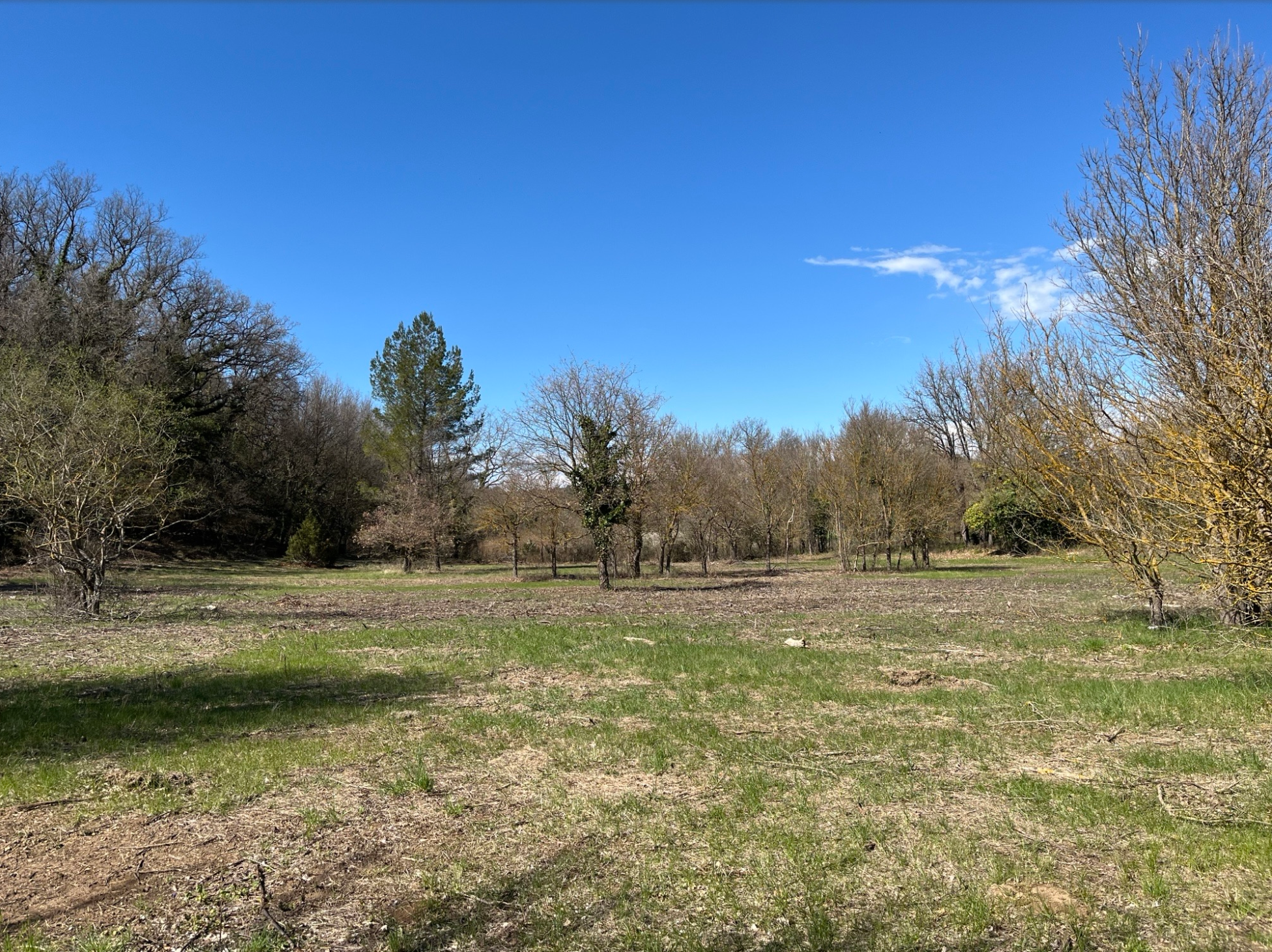 Terrain  à vendre Saint-Maximin-la-Sainte-Baume 83470