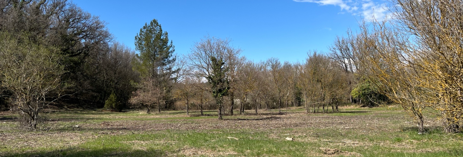 Terrain 1280 m² à construire Saint-Maximin-la-Sainte-Baume (83470)