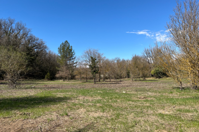 Terrain  110000 €