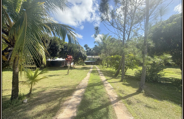 A VENDRE A KOUROU UNE CHARMANTE MAISON T5 EN BOIS DE 133 m² SUPERFICIE TERRAIN 2 HECTARES - AU PRIX DE 346 500 € — photo 4