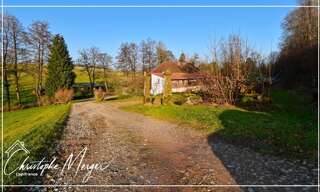 Maison 15 Pièces 490 m² à vendre à Phalsbourg (57370)