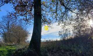 Maison 1 Pièce  m² à vendre à Arpheuilles-Saint-Priest (03420)