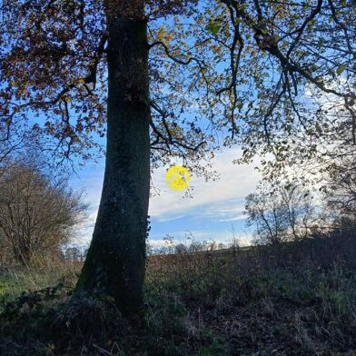 Maison 1 pièces 11000 €